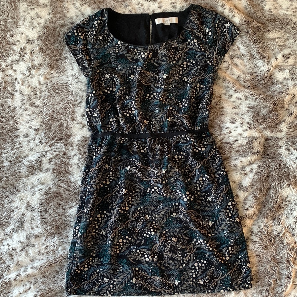 Ann Taylor LOFT